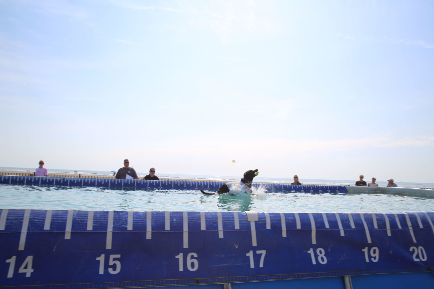 090919_gal_dockdogsWW (58)